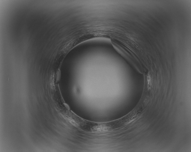 X0000054460219200508011510