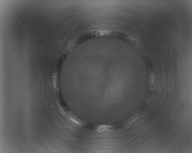 X0000054460222200508011510