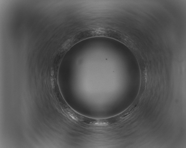 X0000054460223200508011510