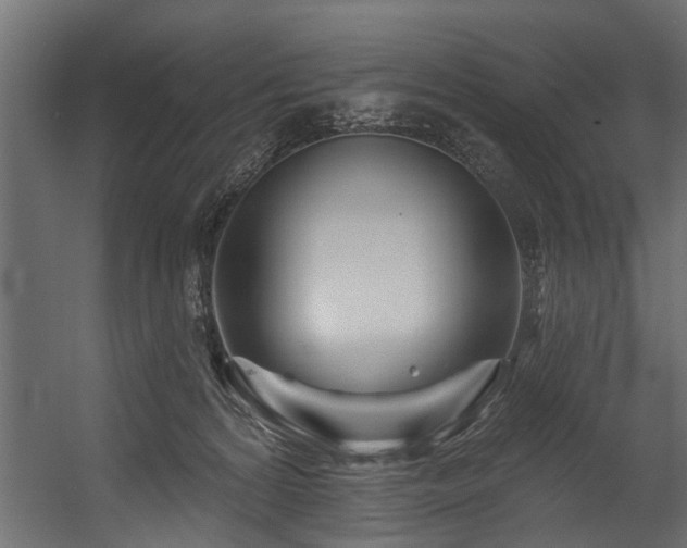 X0000054460224200508011510