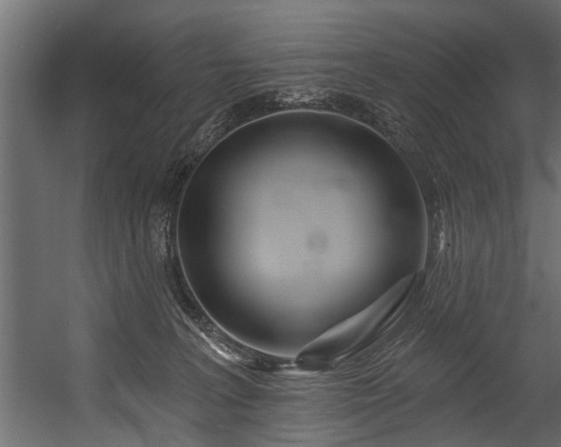 X0000054460227200508011510