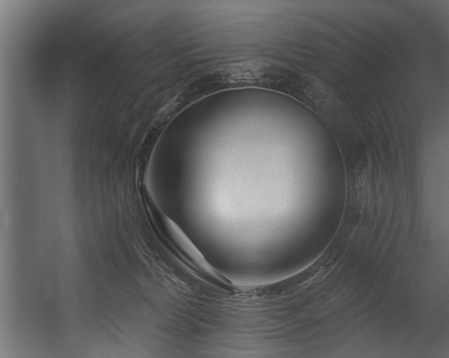 X0000054460228200508011510