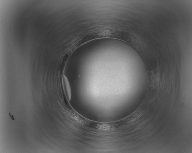 X0000054460230200508011510