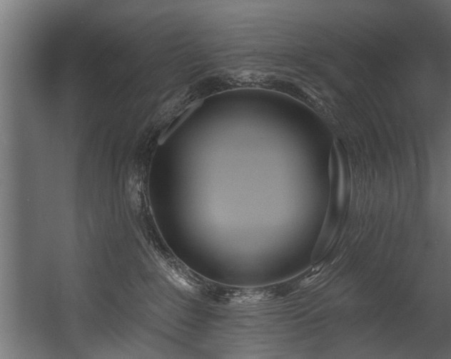 X0000054460235200508011510