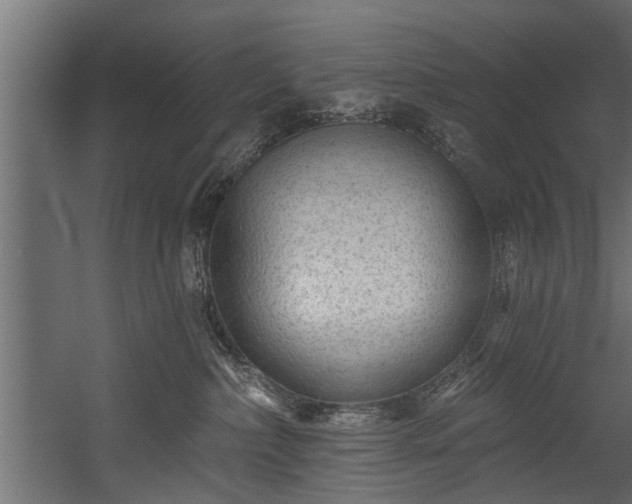 X0000054460236200508011510