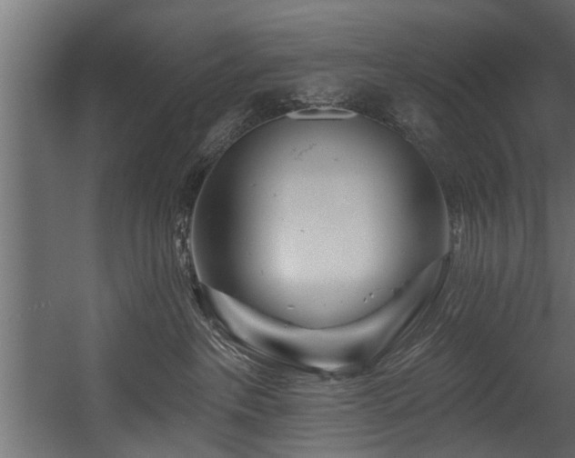 X0000054460237200508011510