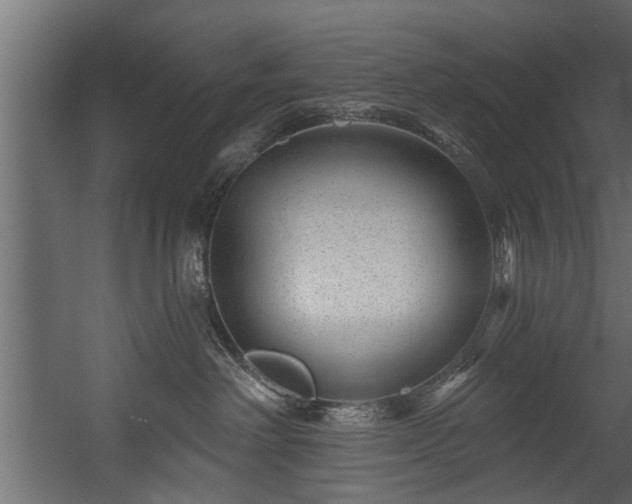 X0000054460238200508011510