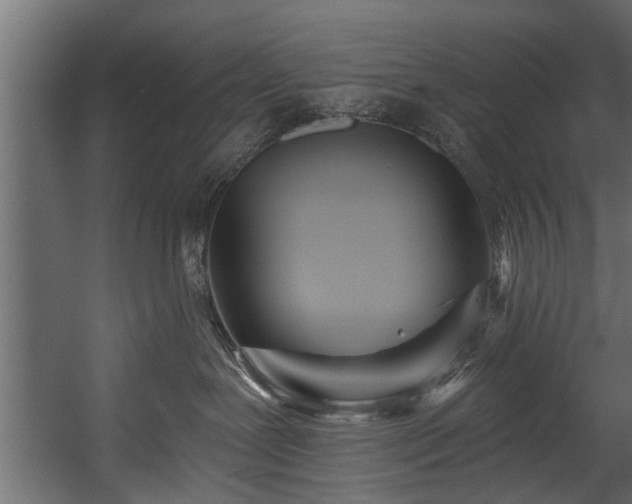 X0000054460239200508011510