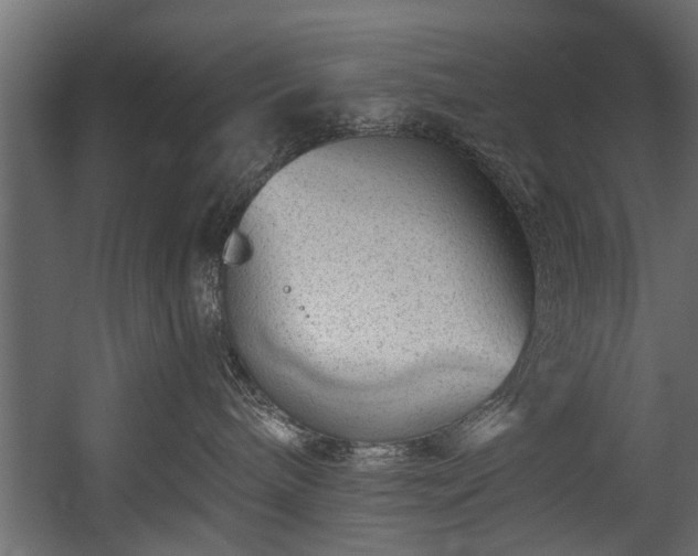 X0000054460240200508011510