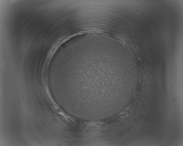 X0000054460241200508011509