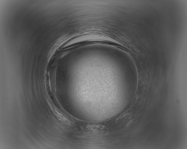 X0000054460242200508011509