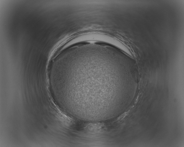 X0000054460245200508011509