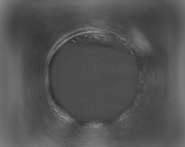 X0000054460247200508011509