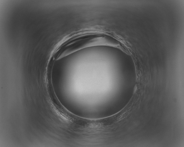 X0000054460248200508011509