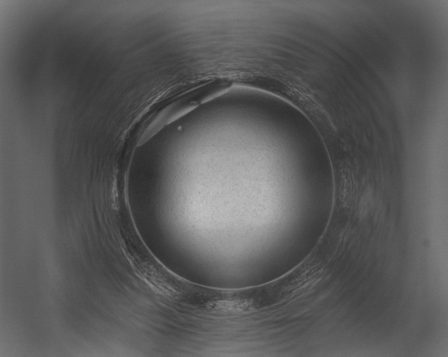 X0000054460251200508011509