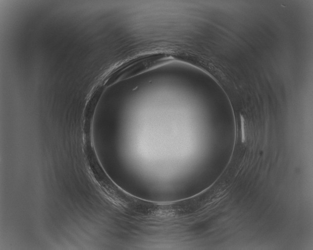 X0000054460252200508011509