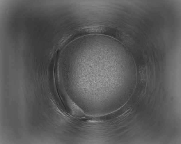 X0000054460255200508011509