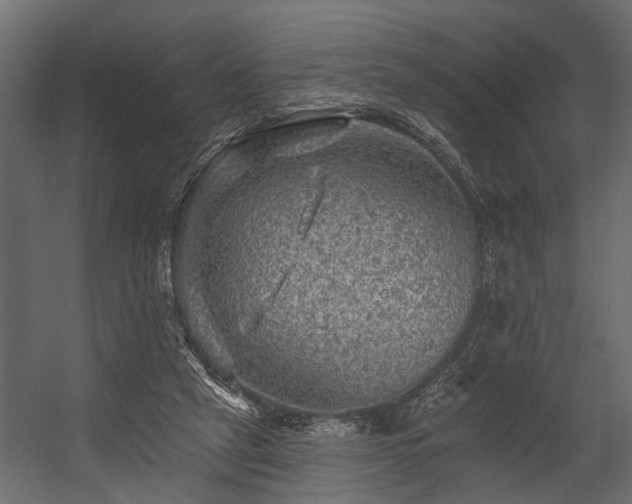 X0000054460257200508011509