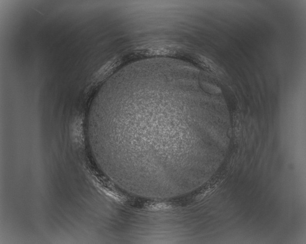 X0000054460258200508011509