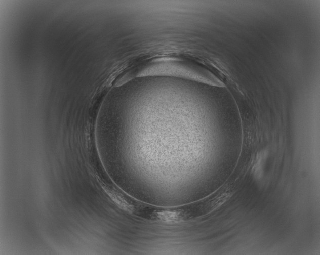 X0000054460265200508011509