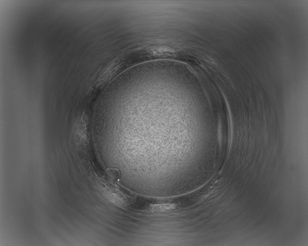 X0000054460266200508011509