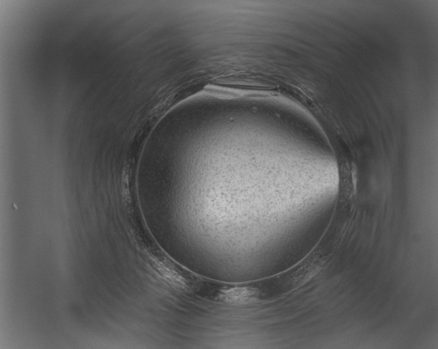 X0000054460269200508011509