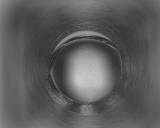 X0000054460271200508011509