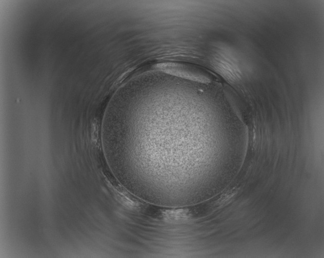 X0000054460281200508011509