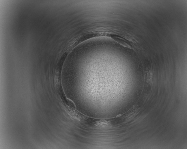 X0000054460283200508011509