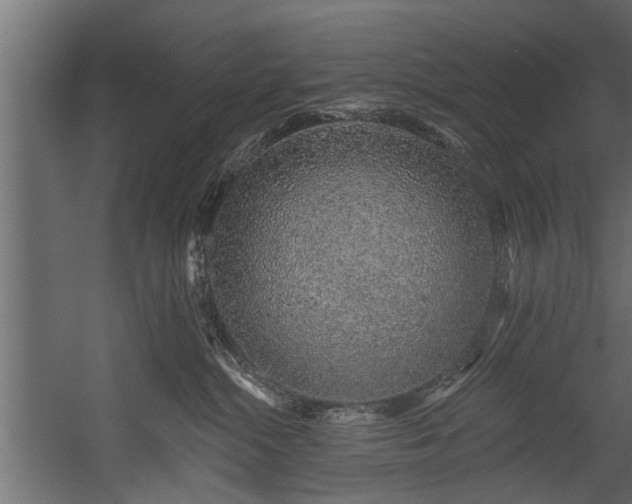 X0000054460284200508011509