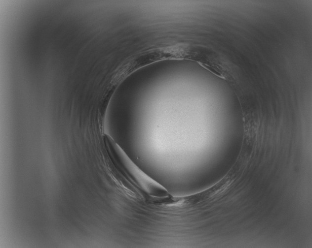 X0000054460285200508011510