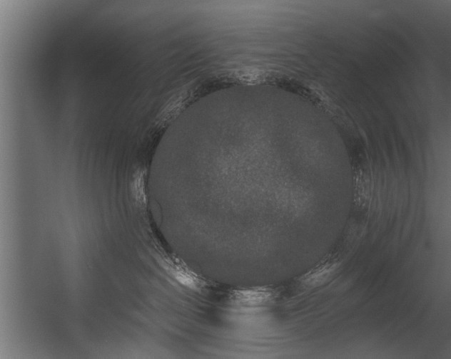 X0000054460286200508011510