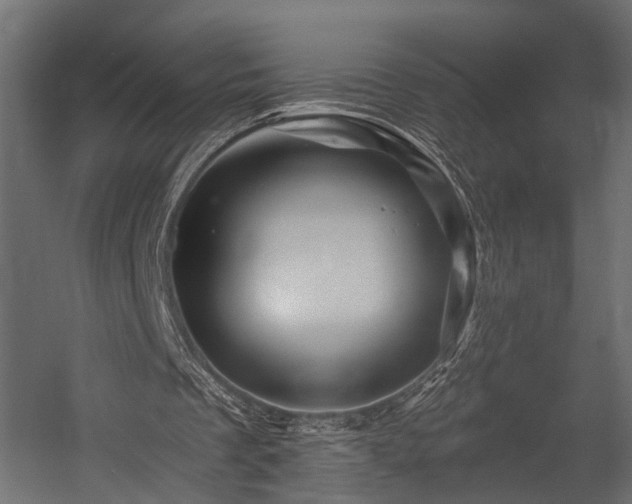 X0000054460289200508011509