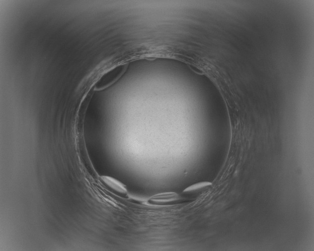 X0000054460290200508011509