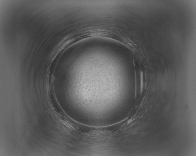 X0000054460291200508011509