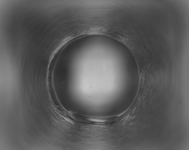 X0000054460292200508011509