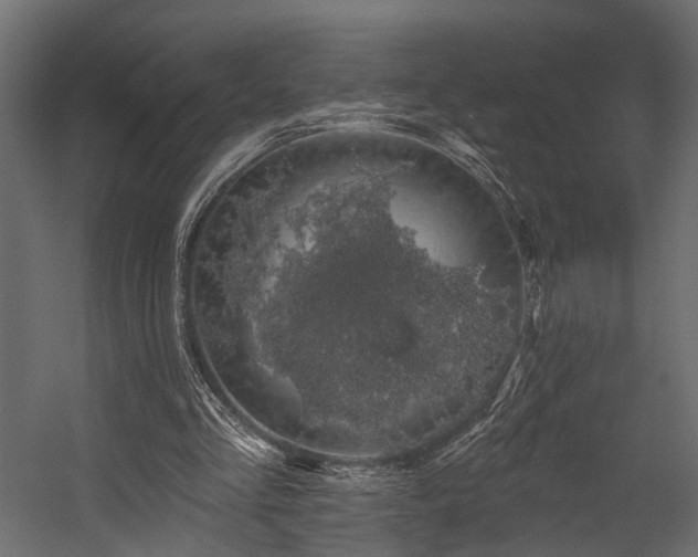 X0000054460293200508011509