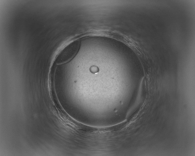 X0000054460294200508011509