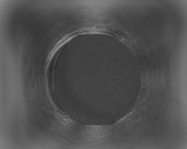 X0000054460295200508011509