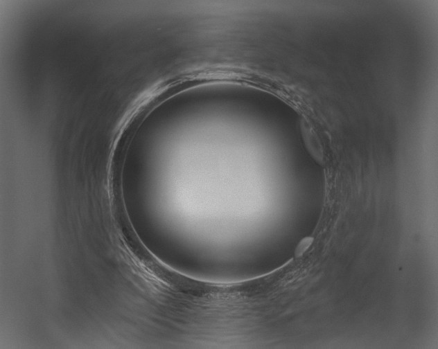 X0000054460296200508011509