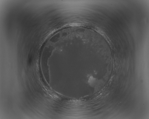 X0000054460297200508011509