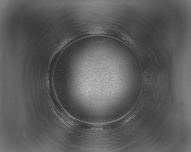 X0000054460298200508011509