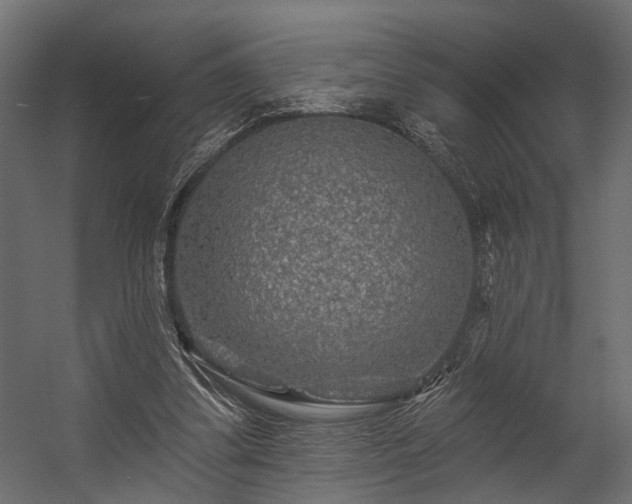 X0000054460299200508011509