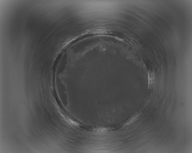 X0000054460301200508011509