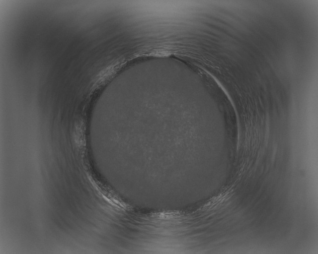 X0000054460303200508011509