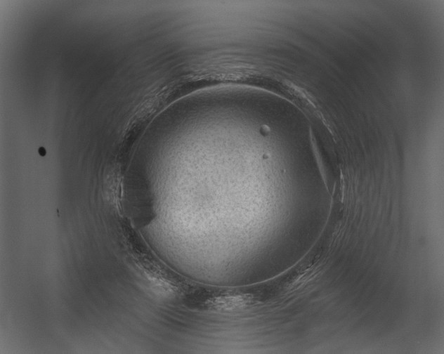 X0000054460307200508011508