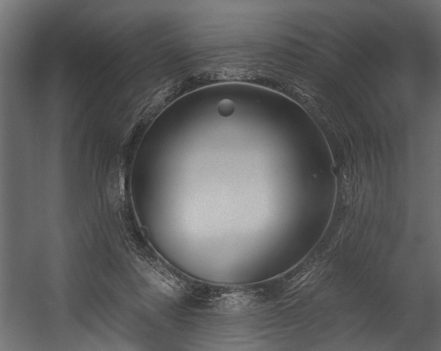 X0000054460310200508011508