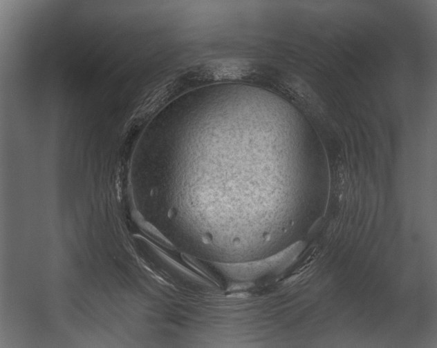 X0000054460311200508011508