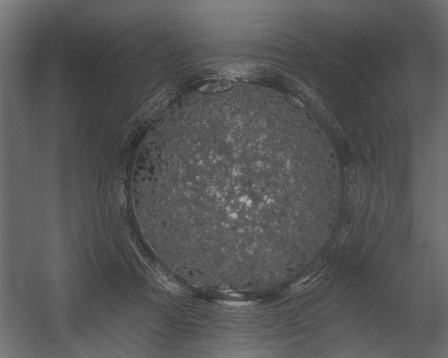 X0000054460313200508011508