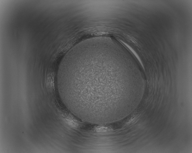 X0000054460315200508011508